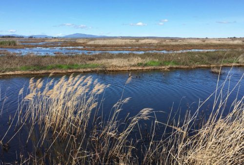Bay Area Environmental Justice Projects in Limbo After Federal Funding Is Canceled