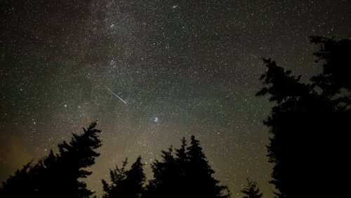 How to See August's Perseids Meteor Shower: One of the Year's Best Light Shows | KQED