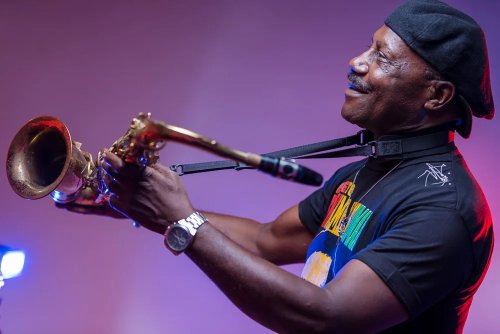 10 of the Best Jazz Shows in the Bay Area This Summer