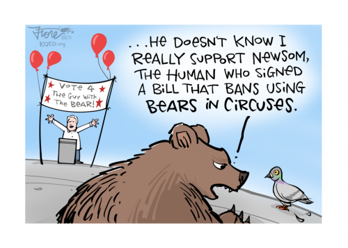 The Campaign Bearly Started | KQED
