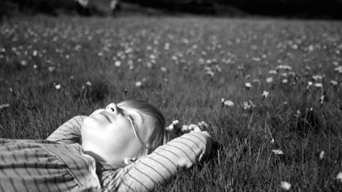 Why Daydreaming is Critical to Effective Learning