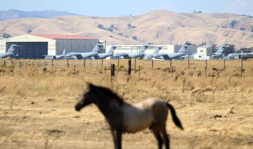 Trump Administration Considers Immigration Detention on Bay Area Military Base, Records Show