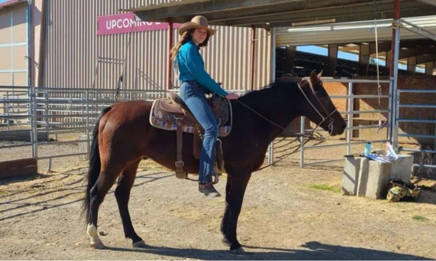 Three beloved horses killed in NorCal crash