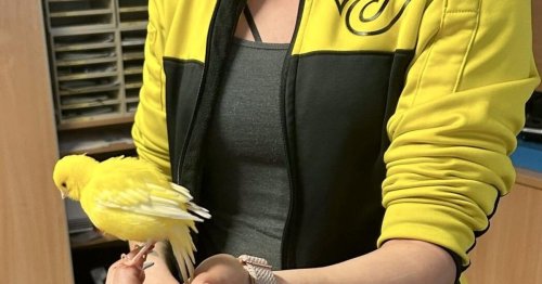 Ausgebüxter „Tweety“ wieder mit Besitzer vereint