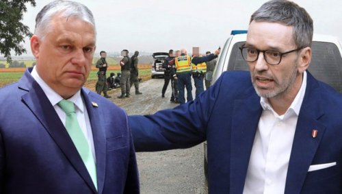 Schlepper-Freilassungen: Kickl geht auf Orban los