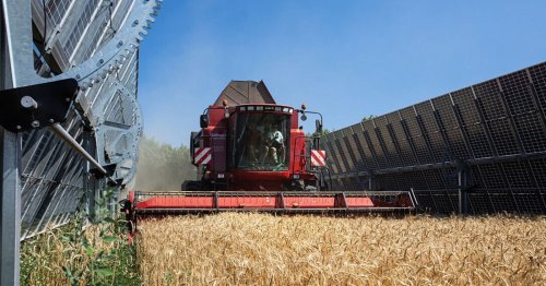 Am Haferfeld wird jetzt auch Strom produziert