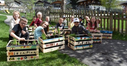 So brachten Schüler kleinen Garten in ihre Kisten