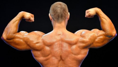 Salzburger Bodybuilder fasste bedingte Haft aus