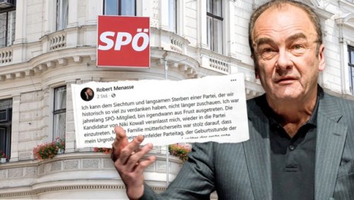 Emotionales Posting: Menasse tritt SPÖ wieder bei