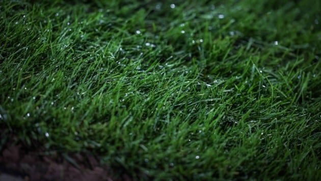 Match Sturm II-Vienna witterungsbedingt abgesagt