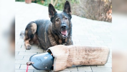 Ein echter Wiener nimmt den Schutzärmel runter