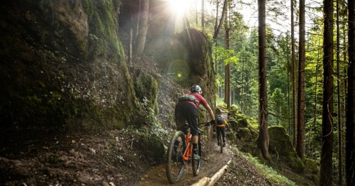 Tragischer Sturz in Osttirol: Mountainbiker tot