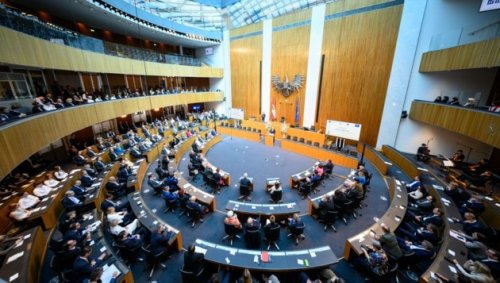 Millionenschwere Anfragenflut: Jetzt kontert FPÖ