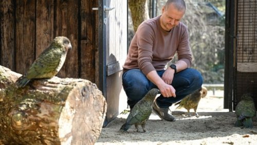 Kritik an der langen Quarantäne für die Zoo-Tiere
