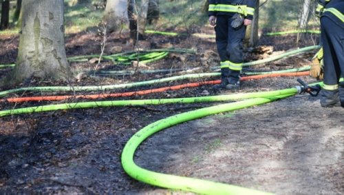 Nicht angemeldetes Feuer breitete sich Wald aus