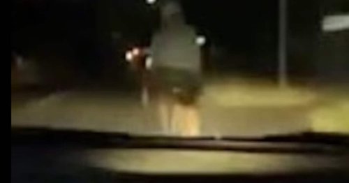 Burschen (11, 15, 17) fuhren Fahrradfahrer tot