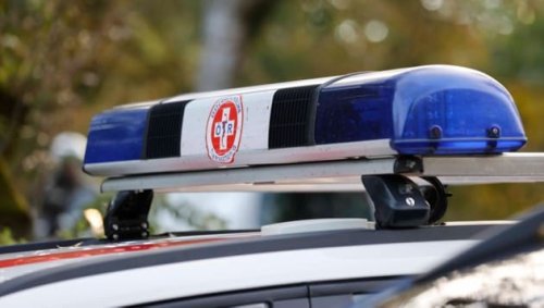 Zwei völlig verwahrloste Hundewelpen gerettet