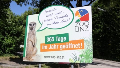 Maul- und Klauenseuche: „Gefahr ist nicht gebannt“