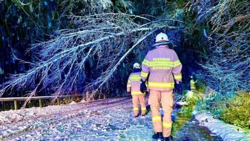 Feuerwehr rückte zu 276 Schnee-Einsätzen aus