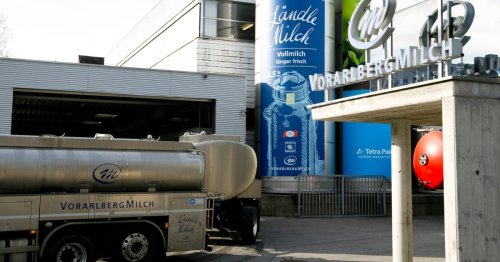 NÖM-Beteiligung als Chance für kleine Milchbauern