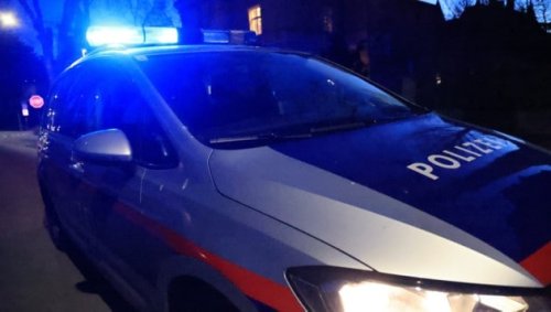 Alkohol und Drogen intus: Lenker türmt vor Polizei