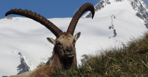 Seit fünf Jahren ein Zentrum für Touristen & Natur