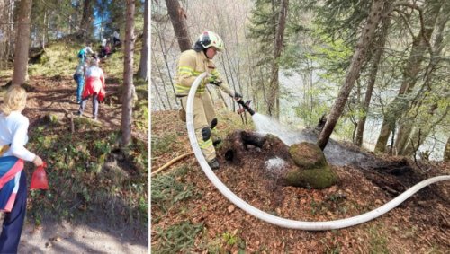 Mit Hundekot-Sackerln Waldbrand über See bekämpft