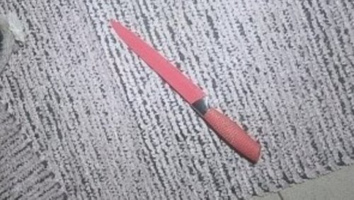 Pinke Messerattacke auf Beamten: Frau festgenommen