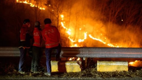 Österreich hilft bei Feuerinferno in Südkorea