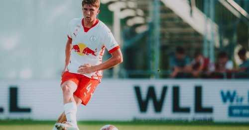 Jungbullen wollen fünften Streich im Nest finden