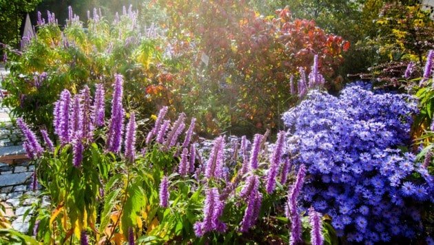 Start ins neue Gartenjahr bringt viele Neuerungen