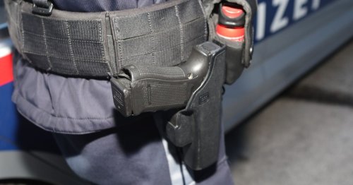 Streitendes Brüderpaar widersetzt sich der Polizei