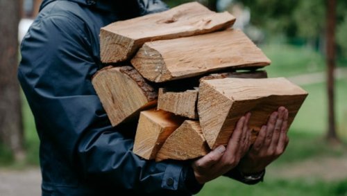 Rettung von Holz als nachhaltiger Energie gelungen