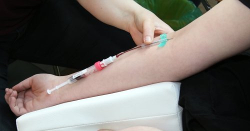 80 Menschen für Stammzellenspende typisiert