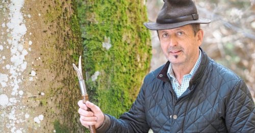 Streifzug durch das uralte Grün des Waldviertels