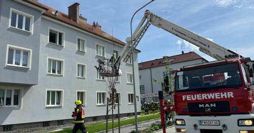 Kinder sterben im Feuer: Mutter jetzt beschuldigt