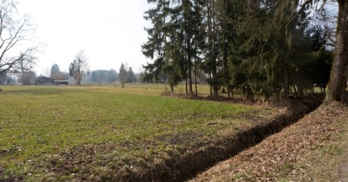 Frauenmord im Ried: Urteil nun rechtskräftig