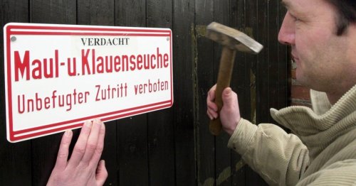 So reagiert Regierung auf hochansteckende Seuche