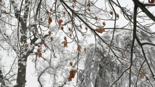 Schnee, Frost: Der Winter meldet sich zurück