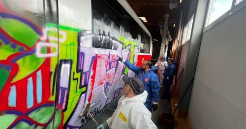 Graffitis auf Zügen: Enormer Schaden in Kärnten