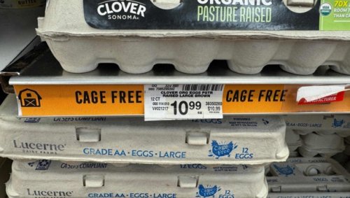 Ei-Krise: Amerikaner färben zu Ostern Kartoffeln