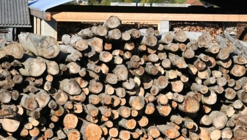 „Holz-Bashing“ der EU trifft Oberösterreich