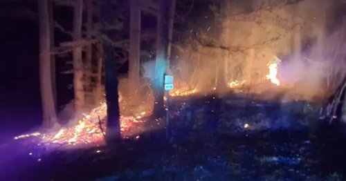 200 Quadratmeter Wald standen in Flammen