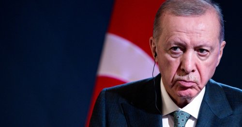 Erdogan lässt weitere Oppositionelle einsperren