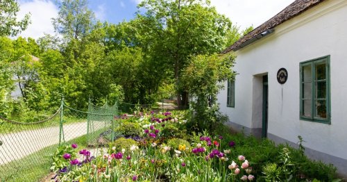 Freilichtmuseum Niedersulz erblüht im Frühling