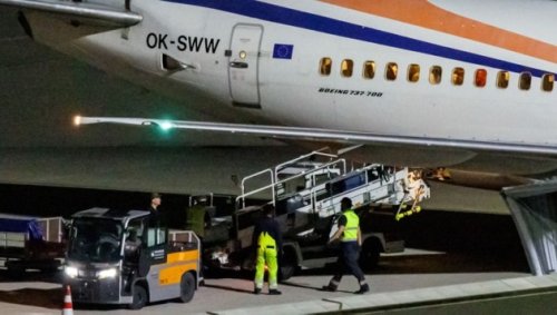 Eingereiste Afghanen haben gefälschte Dokumente