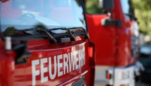 Affen und Vögel bei Schwelbrand in Haus verendet