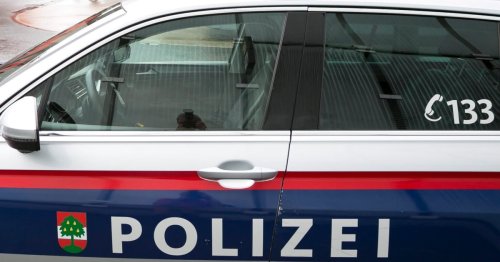 Hund und Herrl wollten sich auf Polizisten stürzen