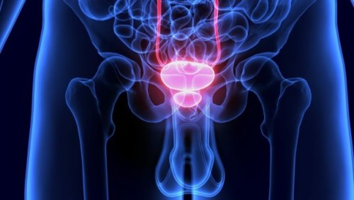 Schwachstelle bei Prostata-Krebszellen gefunden