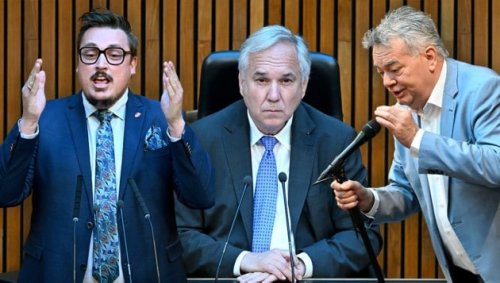 Verbale Entgleisungen: Im Parlament ging es rund